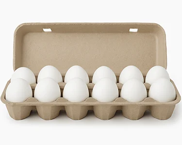 قیمت یک شانه تخم مرغ امروز