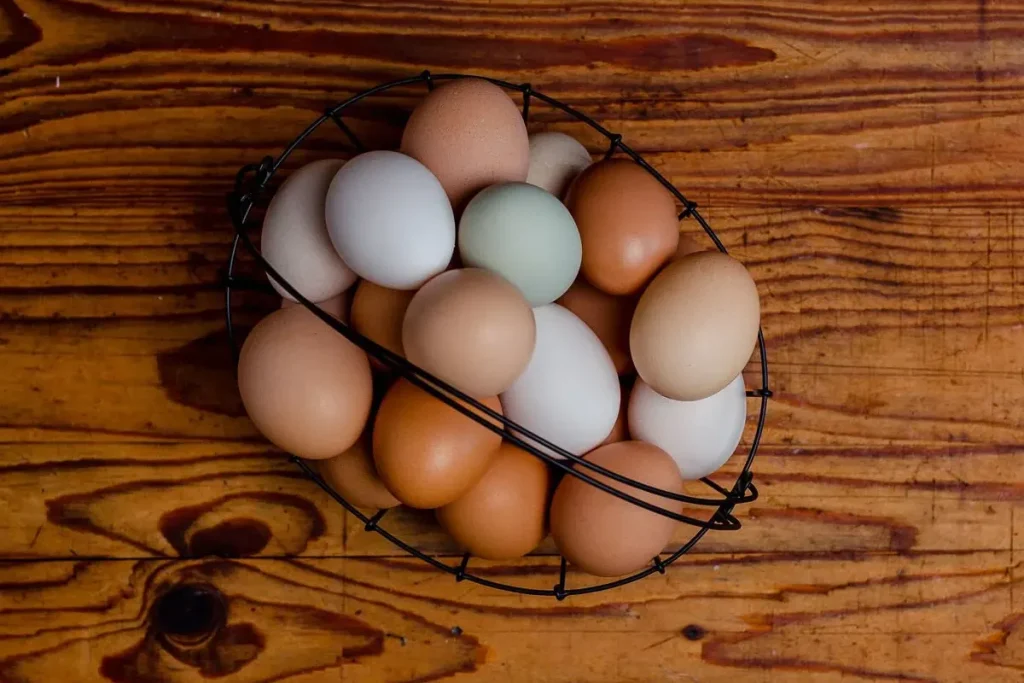 فروش تخم مرغ صادراتی