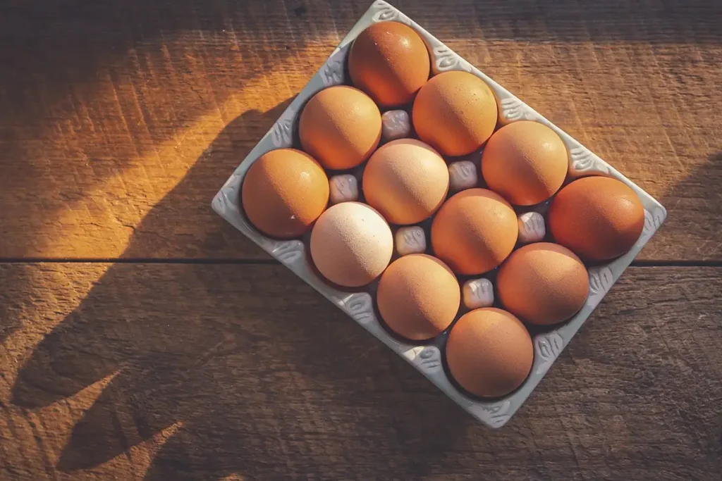 قیمت شانه تخم مرغ محلی