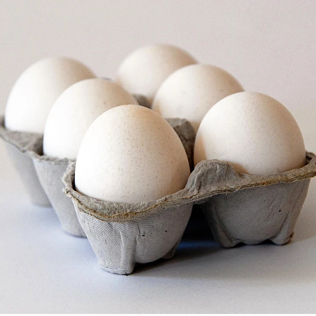 قیمت یک کارتن تخم مرغ