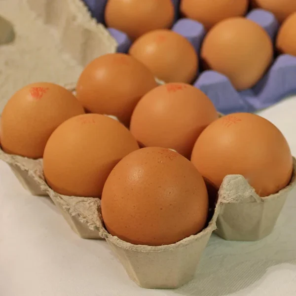 قيمت تخم مرغ محلي