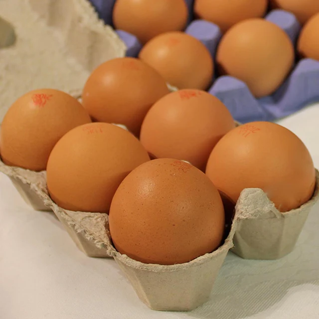 قيمت تخم مرغ محلي