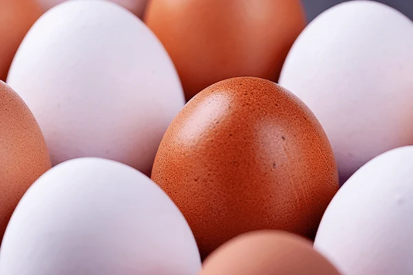 خرید تخم مرغ دو زرده