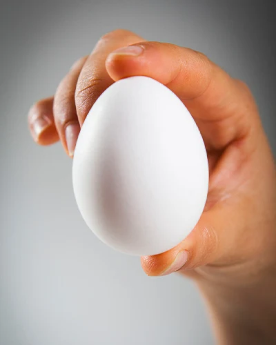 قیمت تخم مرغ در مشهد