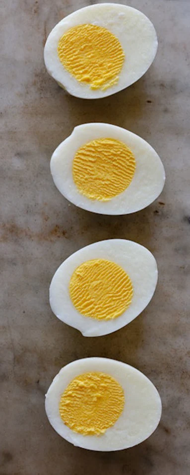 سایت فروش تخم مرغ