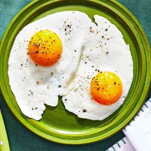 پخش عمده تخم مرغ مشهد