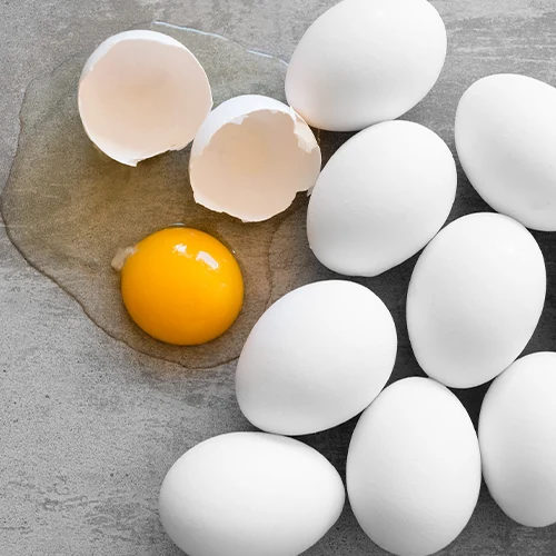 شرکت پخش تخم مرغ