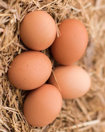 قیمت تخم مرغ انلاین