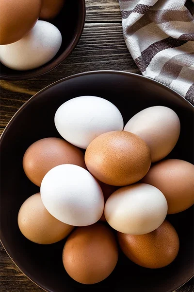 پخش تخم مرغ مشهد