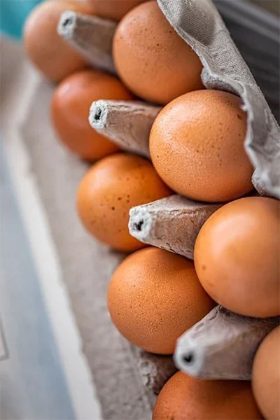 قیمت تخم مرغ امروز مشهد